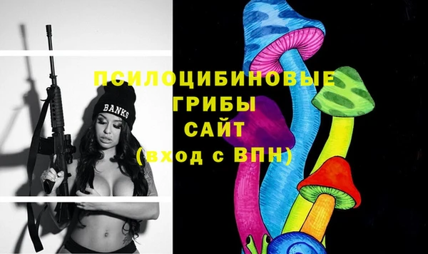 spice Алзамай